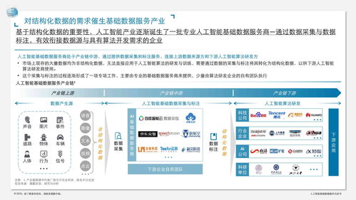 人工智能基礎數據服務與軟件開發協同驅動智能變革