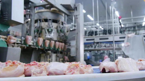 江西圣農 深延產業鏈，鍛造肉制品加工行業新龍頭